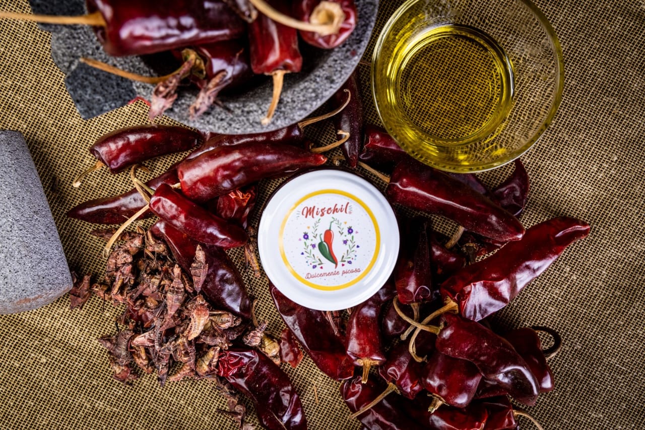 Paquete de 8 Salsas de Gusano de Maguey Mischil